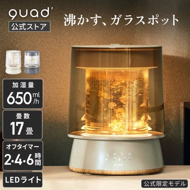 ガラススチーム加湿器 GLASS QS549